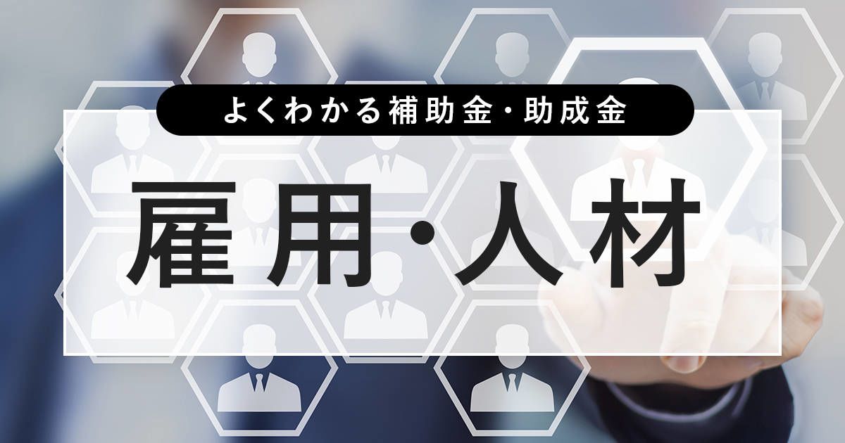 よくわかる補助金・助成金 雇用・人材